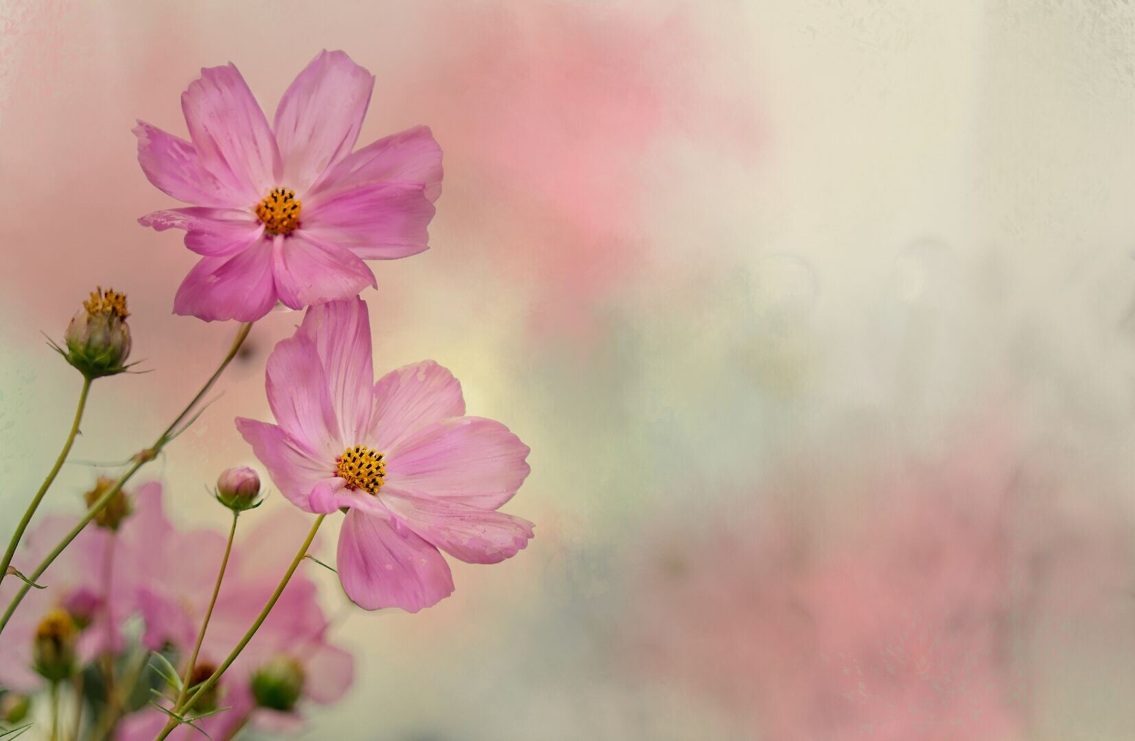 ete09_Romance