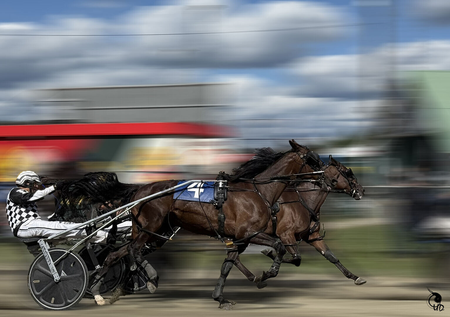 ete09_ Course des chevaux